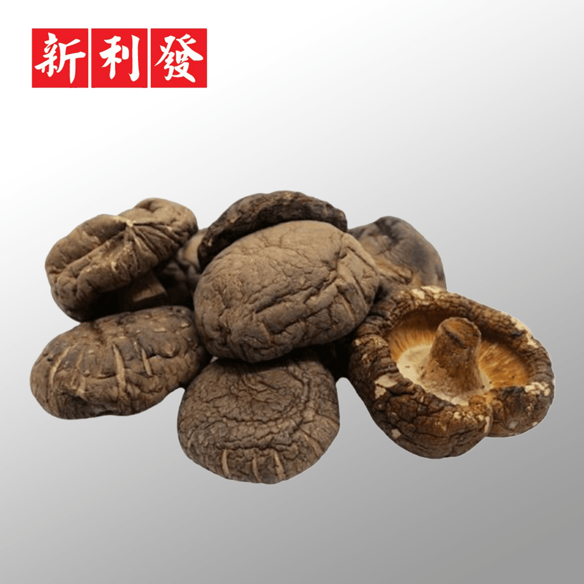 Cendawan Shiitake Kering 4-5 cm 椎茸光面菇