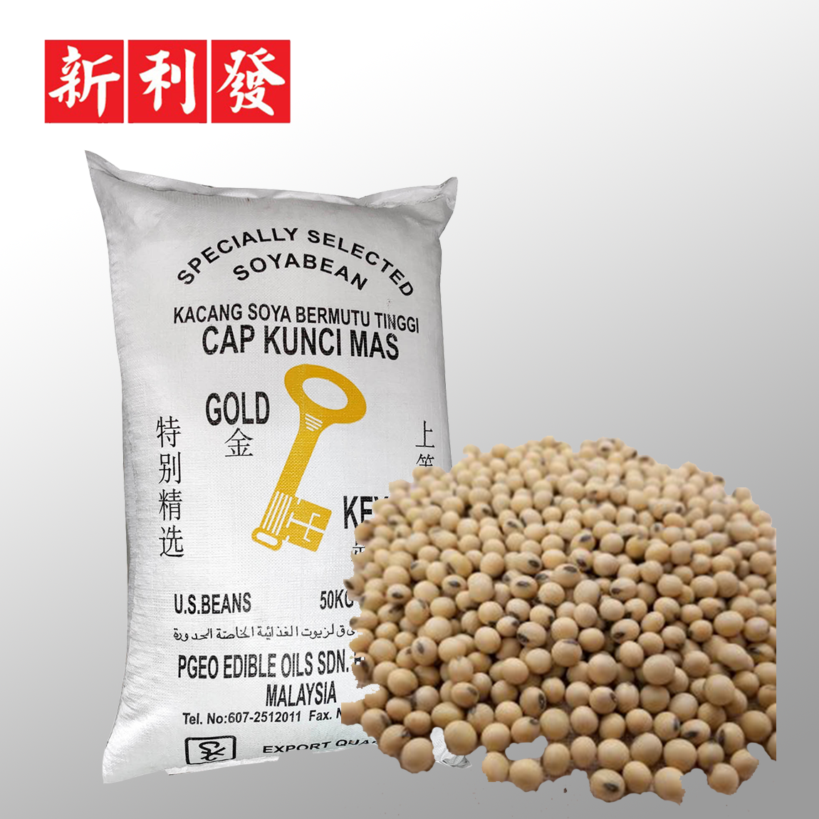 Kacang Soya Kunci 匙黄豆